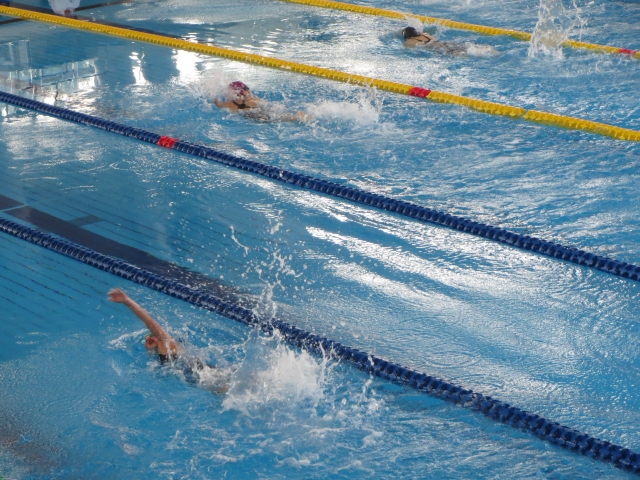 JSCA　全国知的障害者水泳競技大会