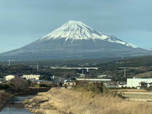 第5回日本知的障害者選手権新春水泳競技大会